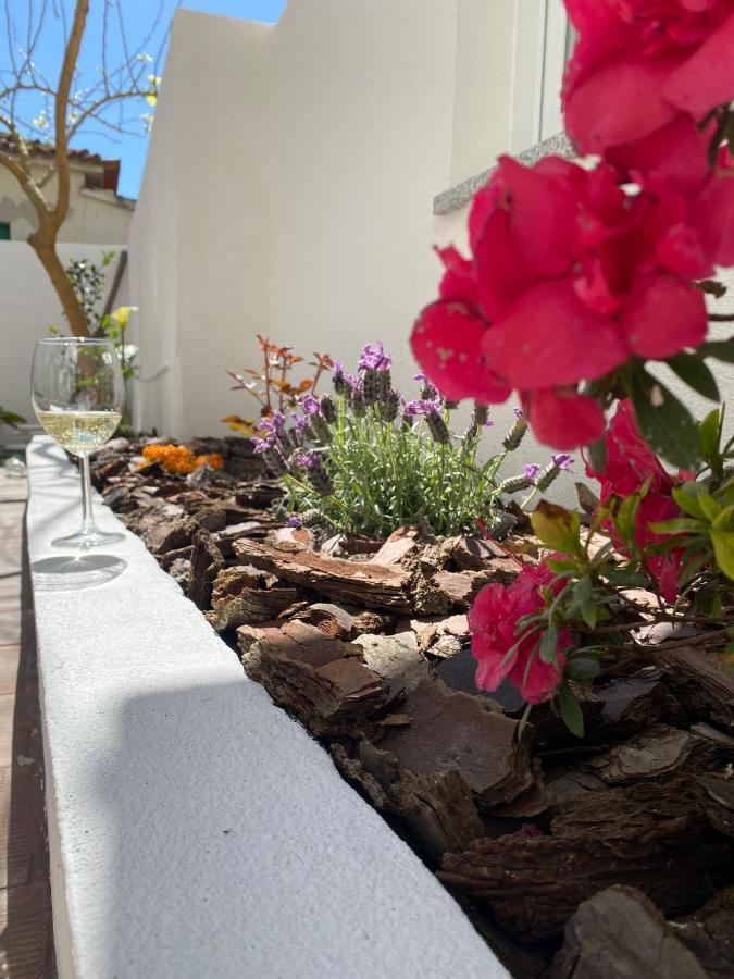 Villa Casas Dos Seixos Moledo  Esterno foto